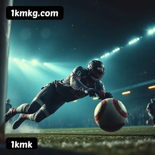 Níveis do programa VIP da 1kmk